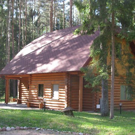 Guest House Gaujaspriedes Gauja  Kültér fotó