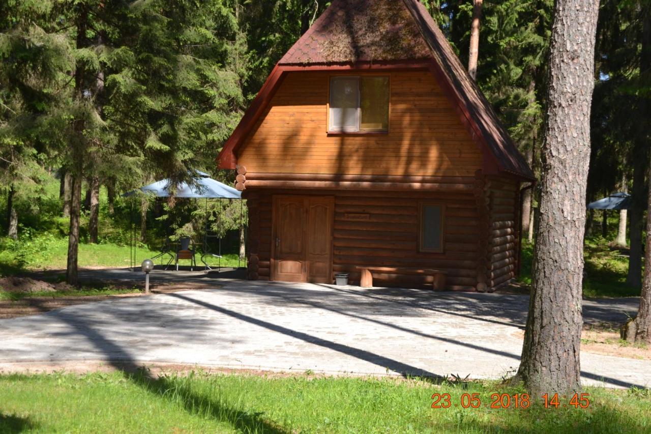Guest House Gaujaspriedes Gauja  Kültér fotó