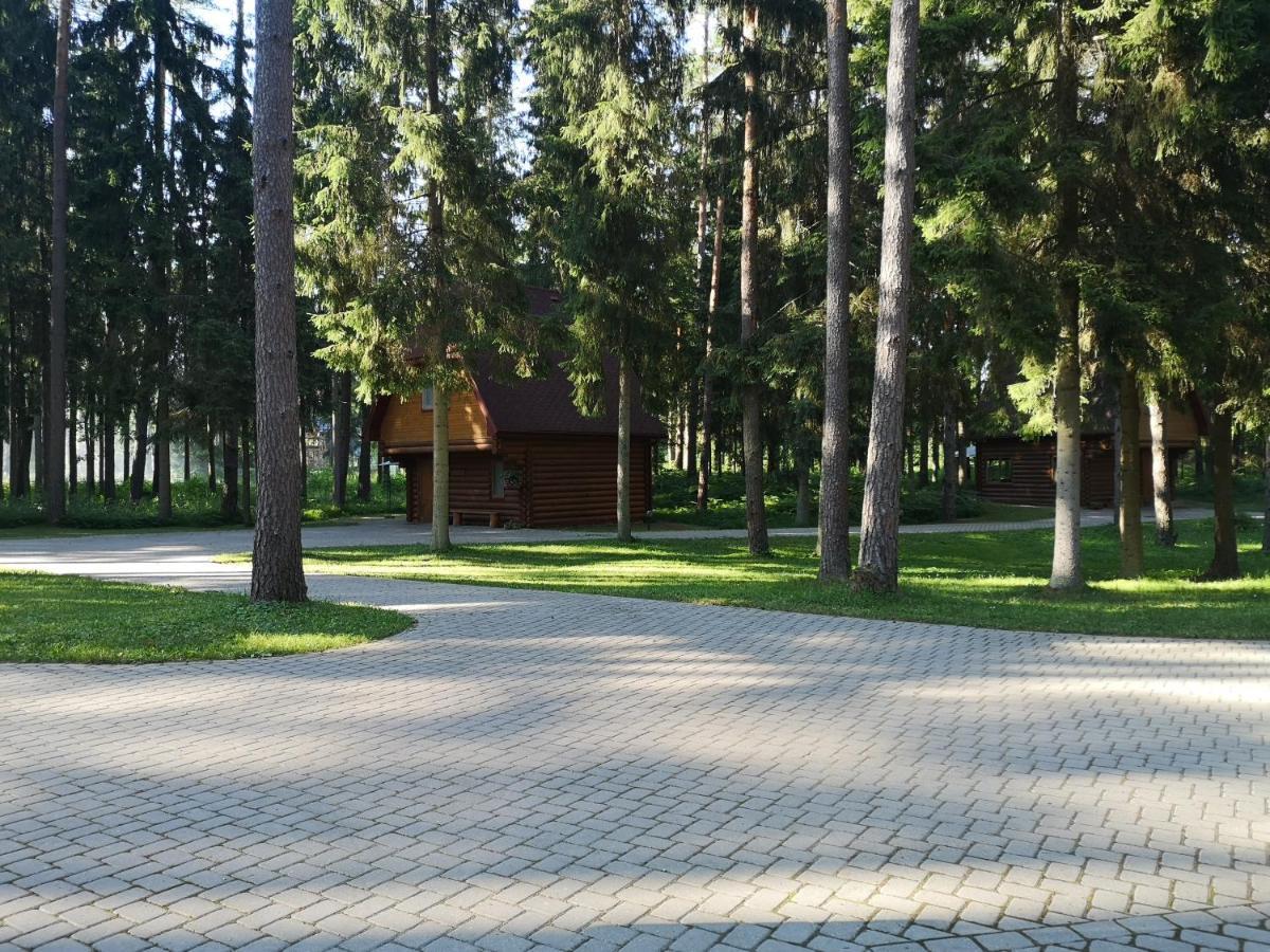 Guest House Gaujaspriedes Gauja  Kültér fotó