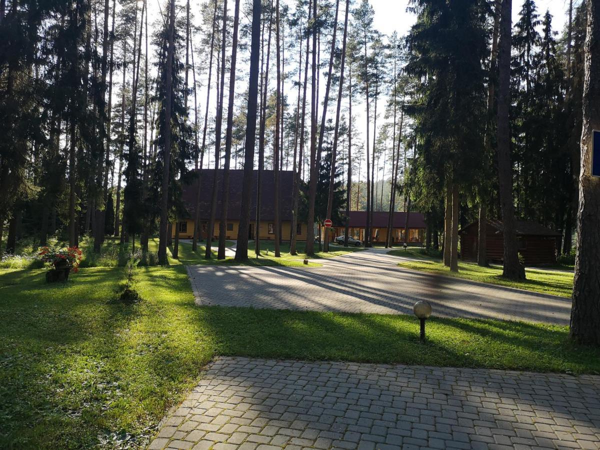 Guest House Gaujaspriedes Gauja  Kültér fotó