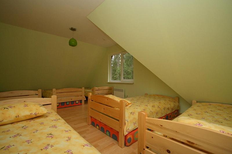 Guest House Gaujaspriedes Gauja  Kültér fotó